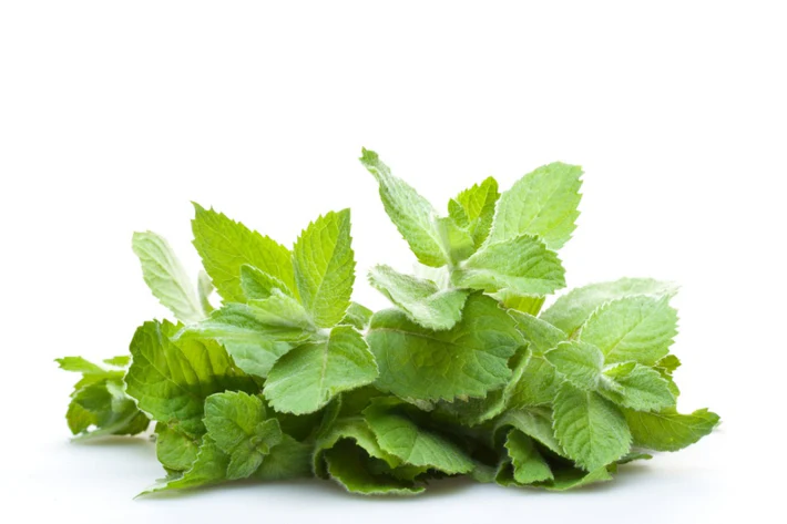 peppermint