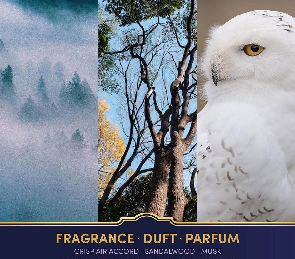 Vôňa sviečky Hedviga Harry Potter citrón melón konvalinka pivónia santalové drevo pižmo