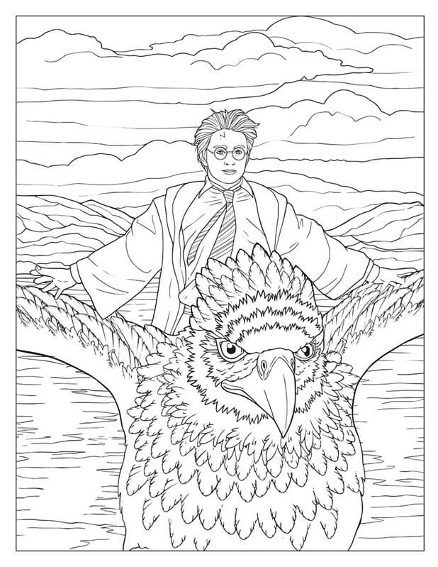 Harry Potter omaľovánky Túlky kúzelnickým svetom - 50+ ilustrácií 64 strán brožovaná väzba