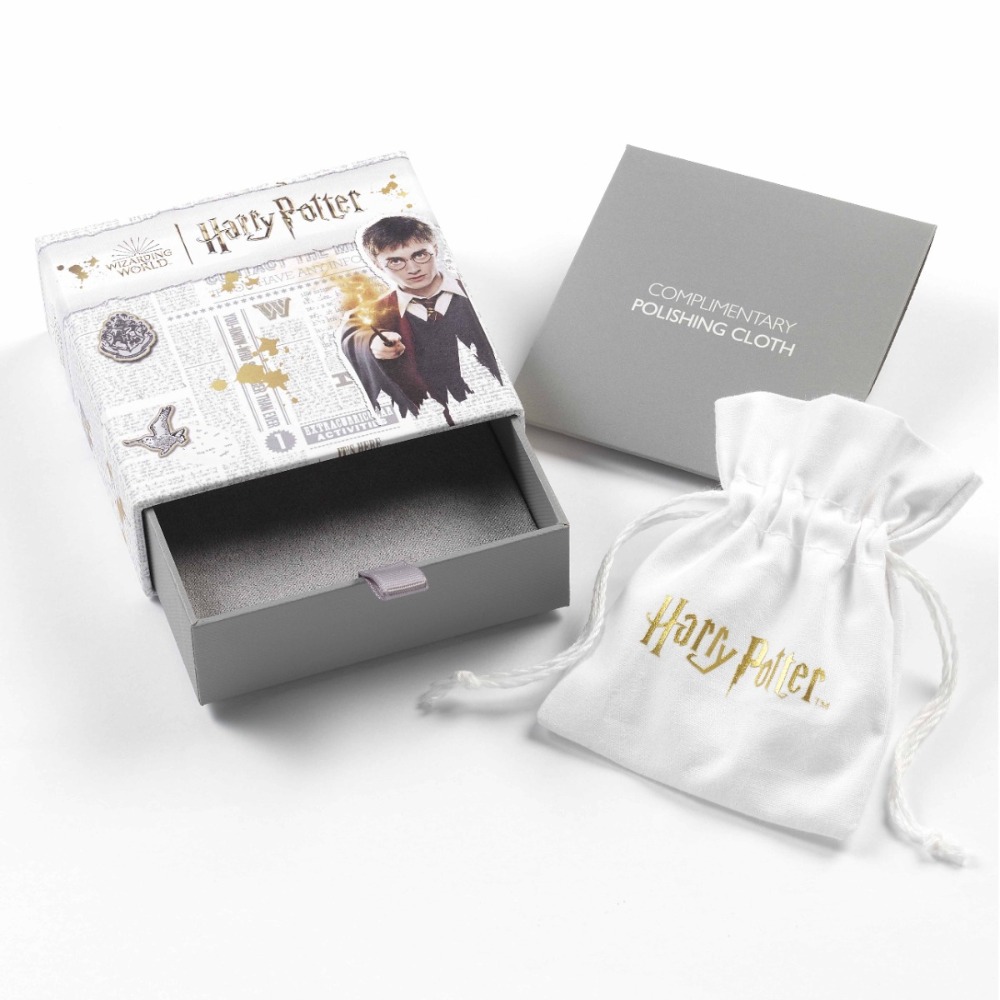 Harry Potter Zlatá strela strieborné náušnice detail darčeková krabička hadierik na čistenie licencia WB prémiové