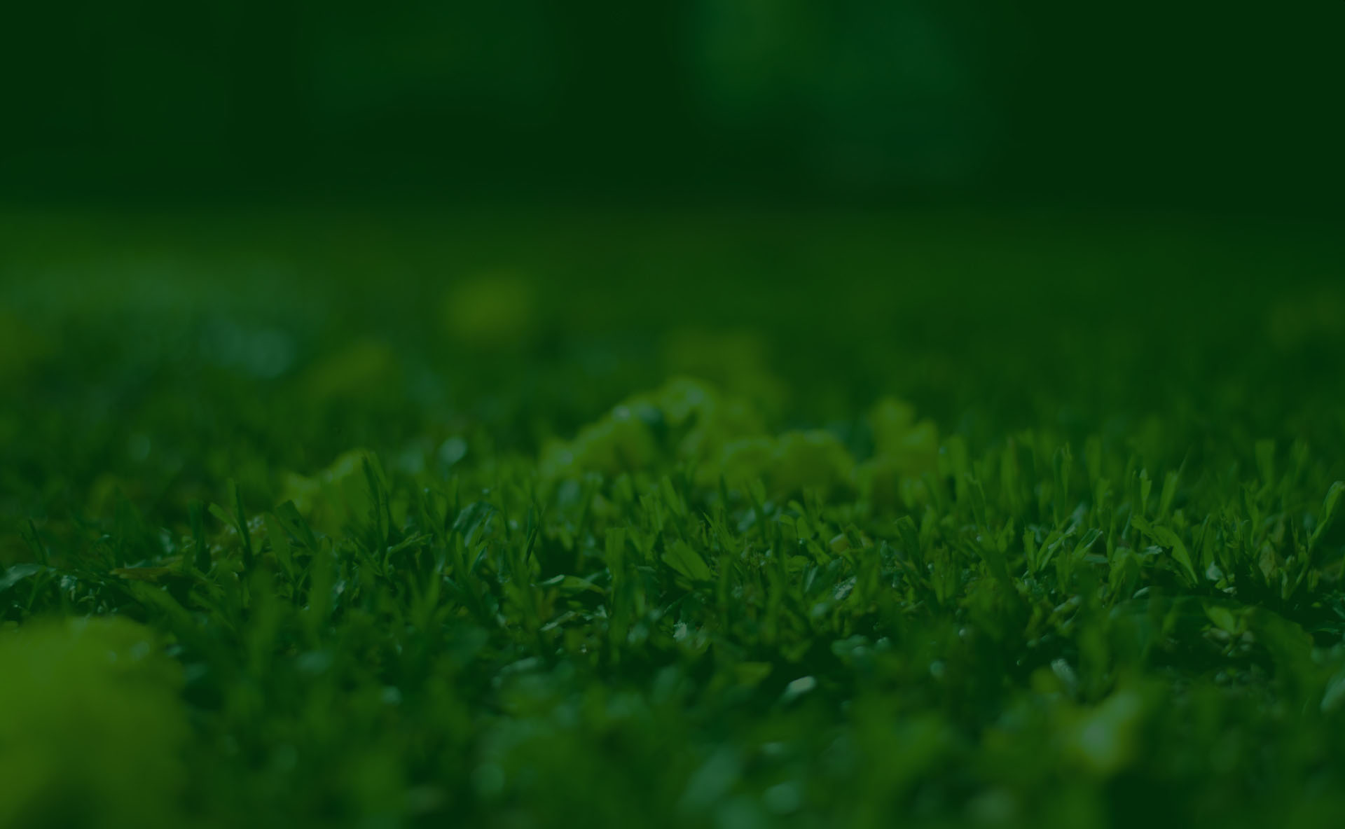 harshit-sharma-HL_qyDm6GMQ-unsplash-1-1