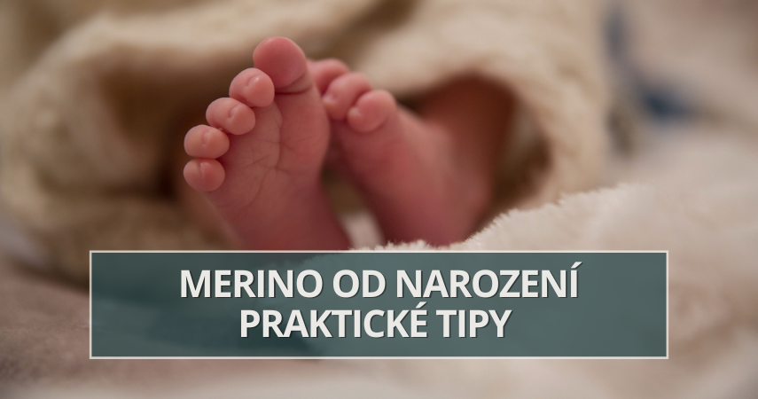 Merino a miminko: Opravdu nemusím vrstvit? Jak na první měsíce života