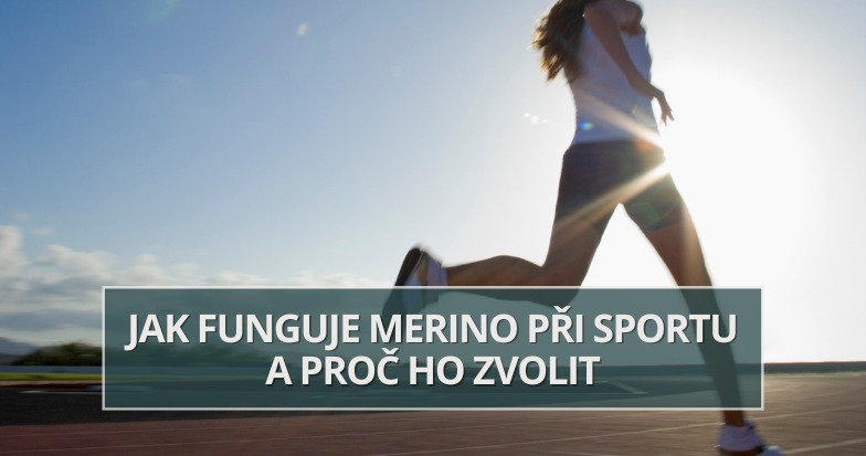 Merino a sport