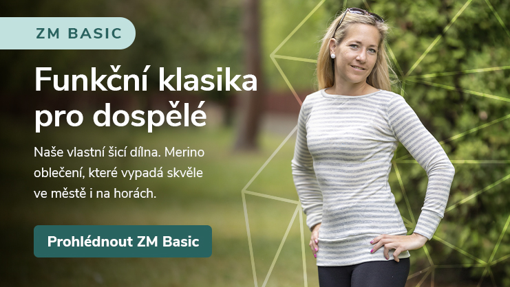 ZM Basic