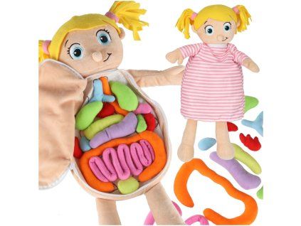 Maskot bábika učenie anatómie dievča