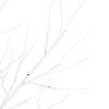 Svietiaci stromček 150cm CL0951 72 LED
