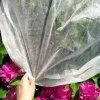Agrotextília 1,6x10m AG0013