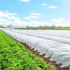 Agrotextília 1,6x10m AG0013