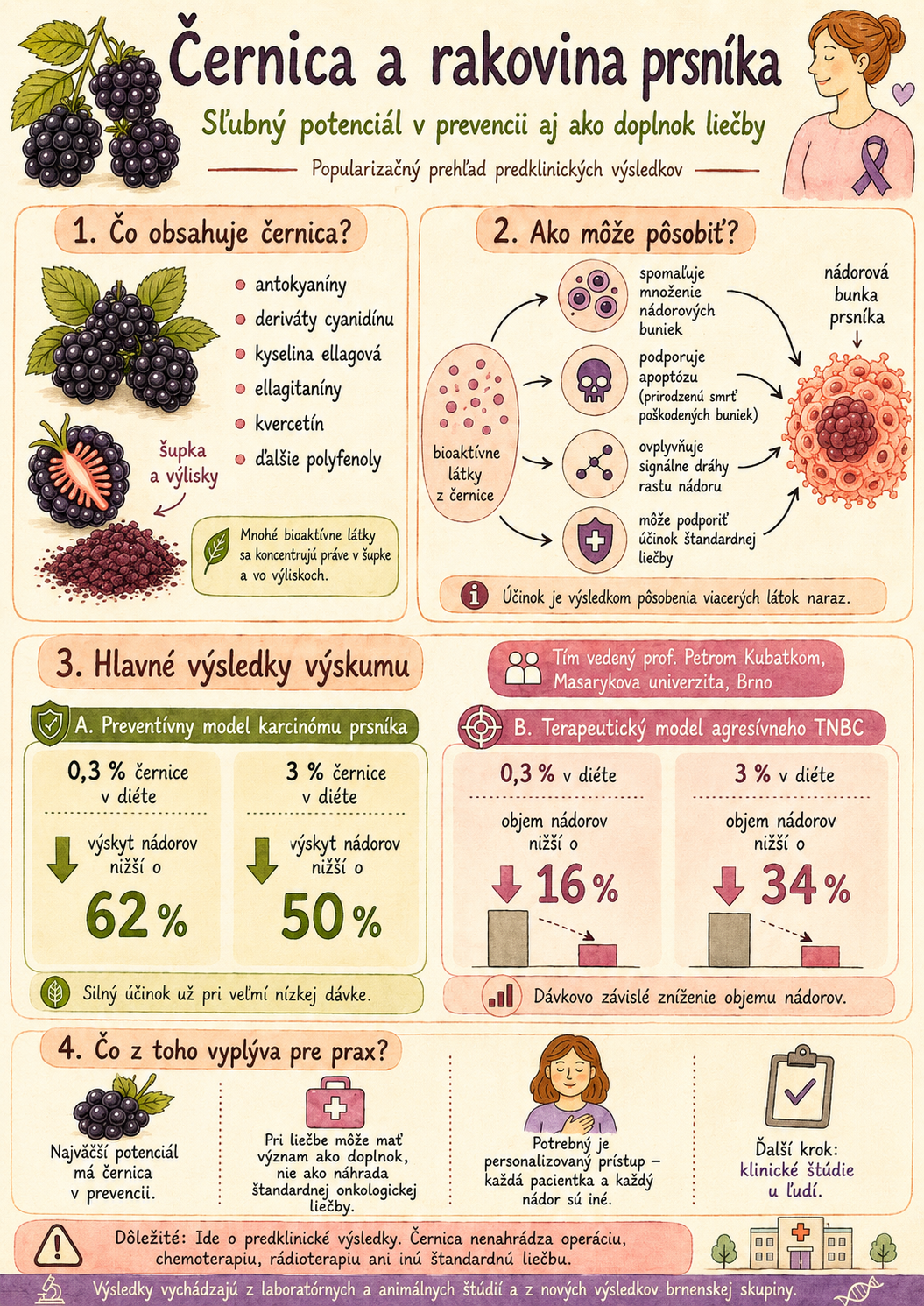 Infografika: černica a predklinický výskum karcinómu prsníka