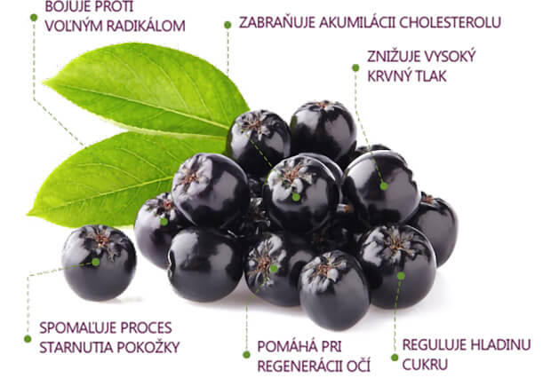 Príprava nápoja s extraktom zo sušených plodov arónie