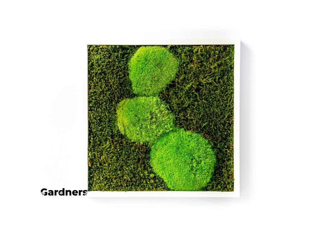 Gardners produkt 010