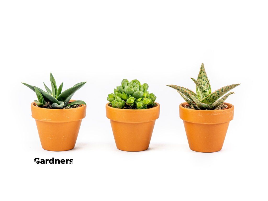 Gardners produkt 025