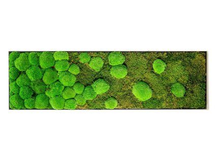 Gardners mechovy obraz 04