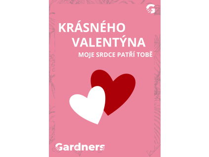 Pohled Valentýnka