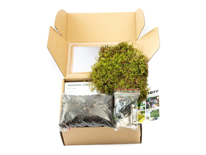 Kokedama "Vyrob si sám" (S)
