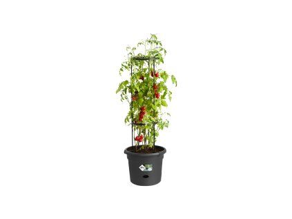 38385 3 obal green basics tomato pot 33 cm cerna