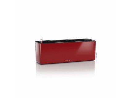 351 23 cube glossy