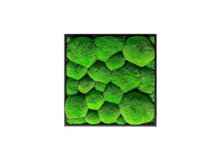 Gardners mechovy obraz 21