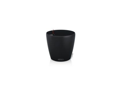 812 16 classico color eco