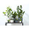 16235 obal brussels classic 10 5 cm bila