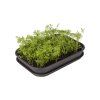 Miska k minipařeništi Green Basics S, černá