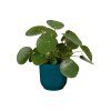 28684 3 obal vibes fold mini 9 cm modra