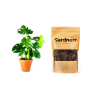 Set Monstera deliciosa a substrát, M  Monstera skvostná