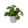 32219 2 obal vibes fold mini 11 cm zelena
