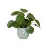 32219 obal vibes fold mini 11 cm zelena