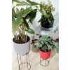 32810 5 obal b for studio bowl 30 cm seda