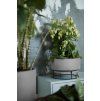 32810 7 obal b for studio bowl 30 cm seda