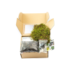 Kokedama "Vyrob si sám" (M)
