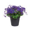 38169 2 kvetinac green basics 24 cm cerna