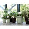 38169 kvetinac green basics 24 cm cerna