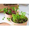39186 microgreens gardners vypestuj si sam m