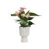 50079 3 obal vibes fold coupe 14 cm bila