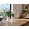 50082 2 obal vibes fold orchid high 12 5 cm ruzova