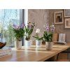 50088 2 obal vibes fold orchid high 12 5 cm cira