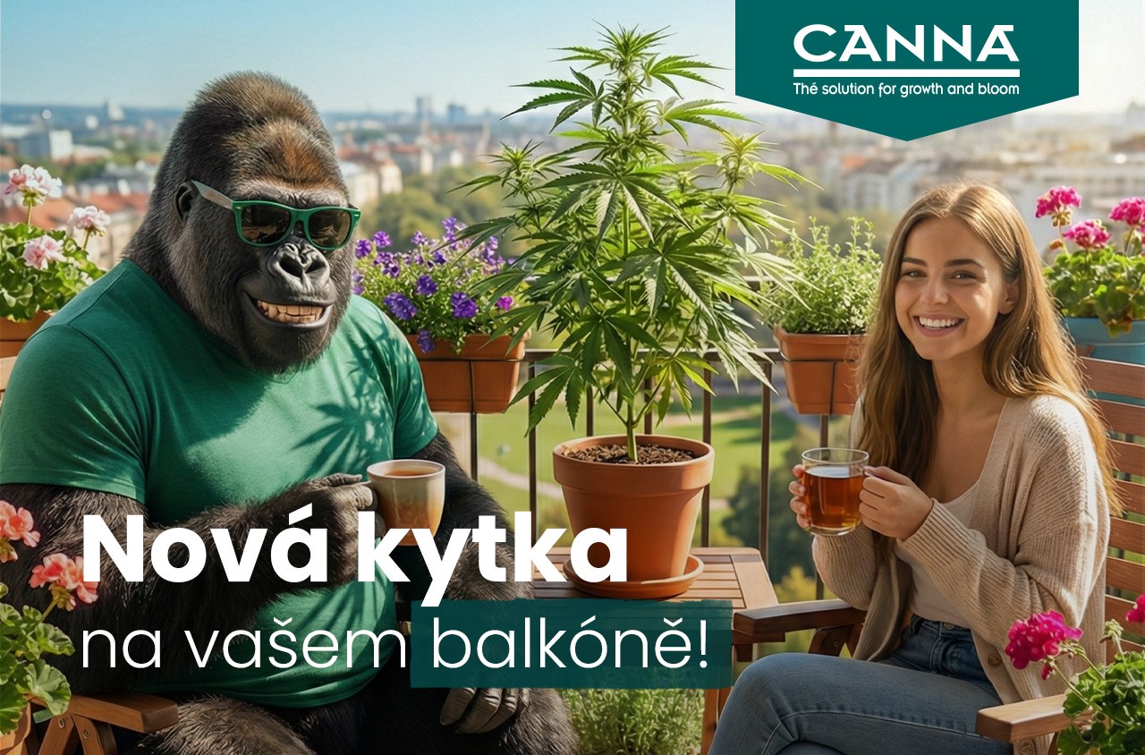 Startovací sada CANNA pro tři rostliny