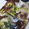 Chlapecké tričko s potiskem dinosaurů