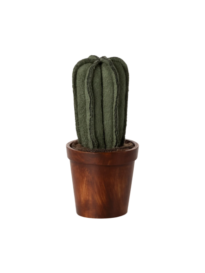 11 5301 00 png