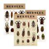 29461 beetle temporary tattoos 2