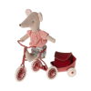 17 4205 00 01 png