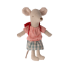 17 4205 00 png