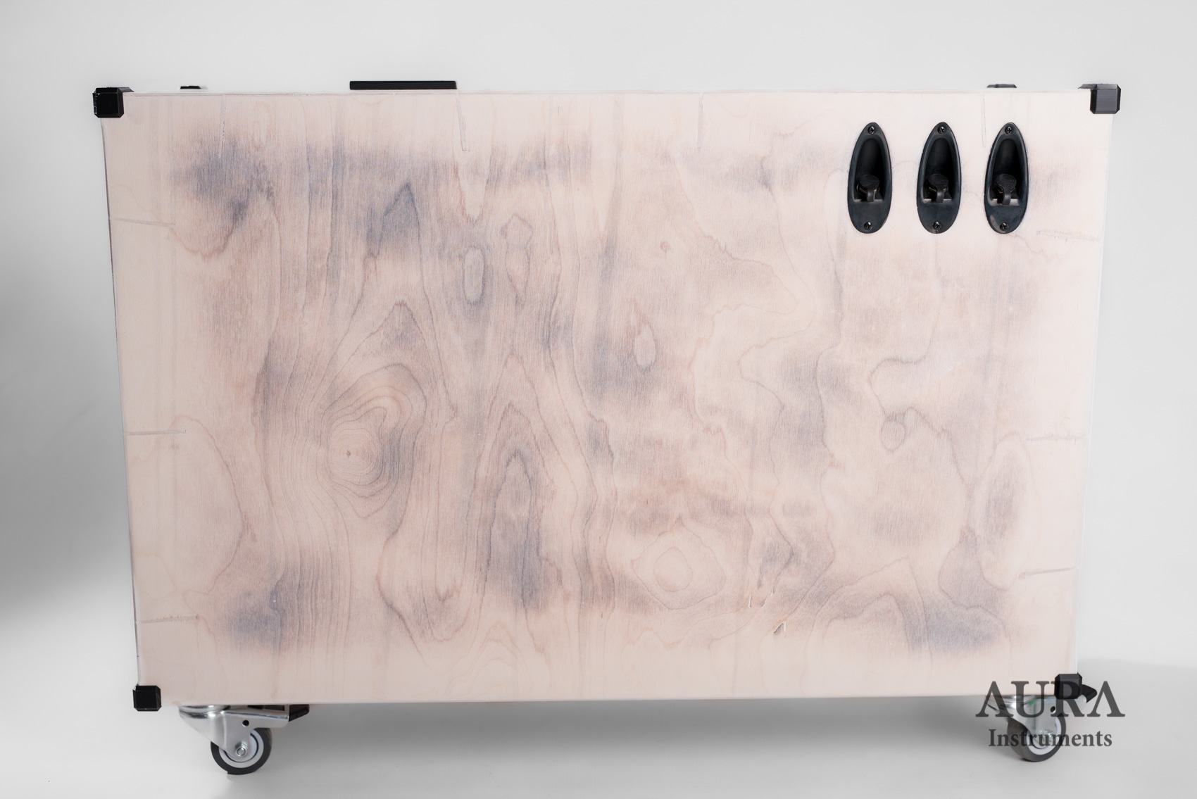 Guitar Cabinet AURA Winter Custom detail 2