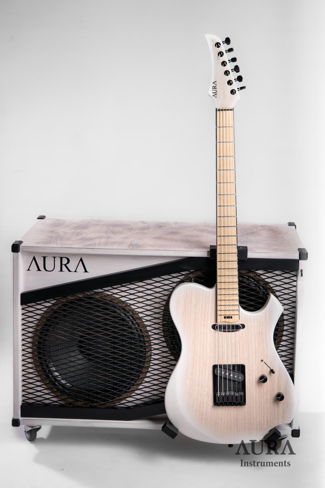 Guitar Cabinet AURA Winter Custom detail 4