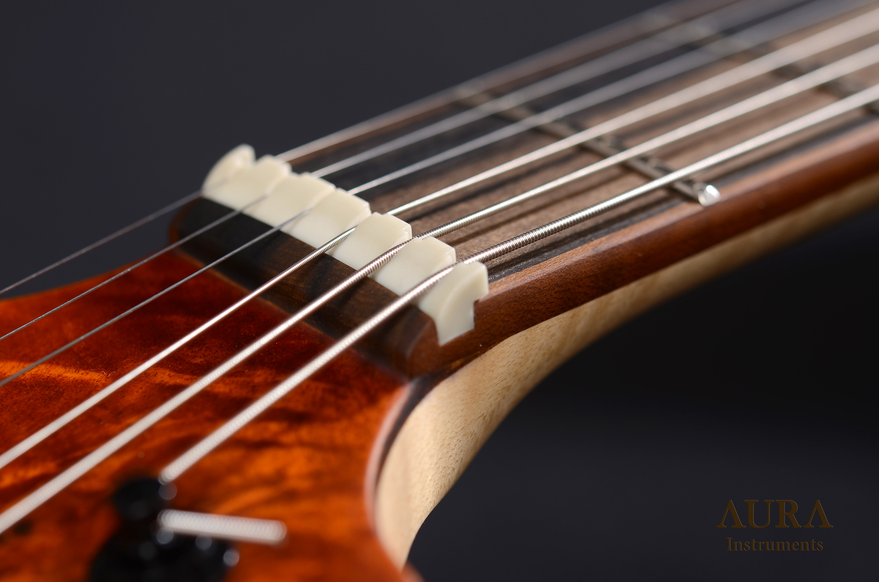 Electric guitar Aura Explorer TA detail 9