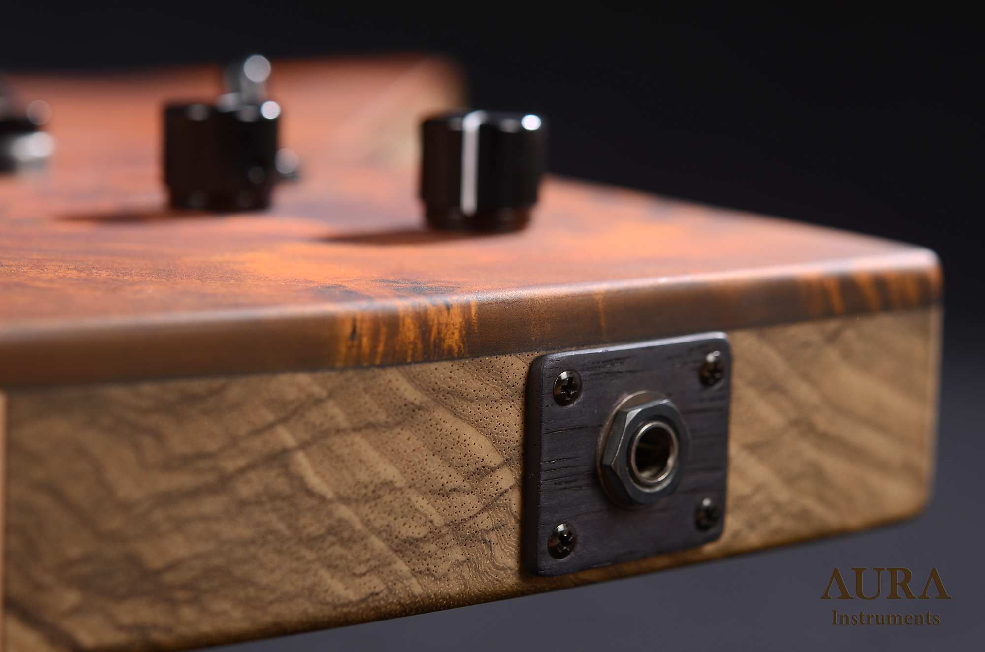 Electric guitar Aura Explorer TA detail 13
