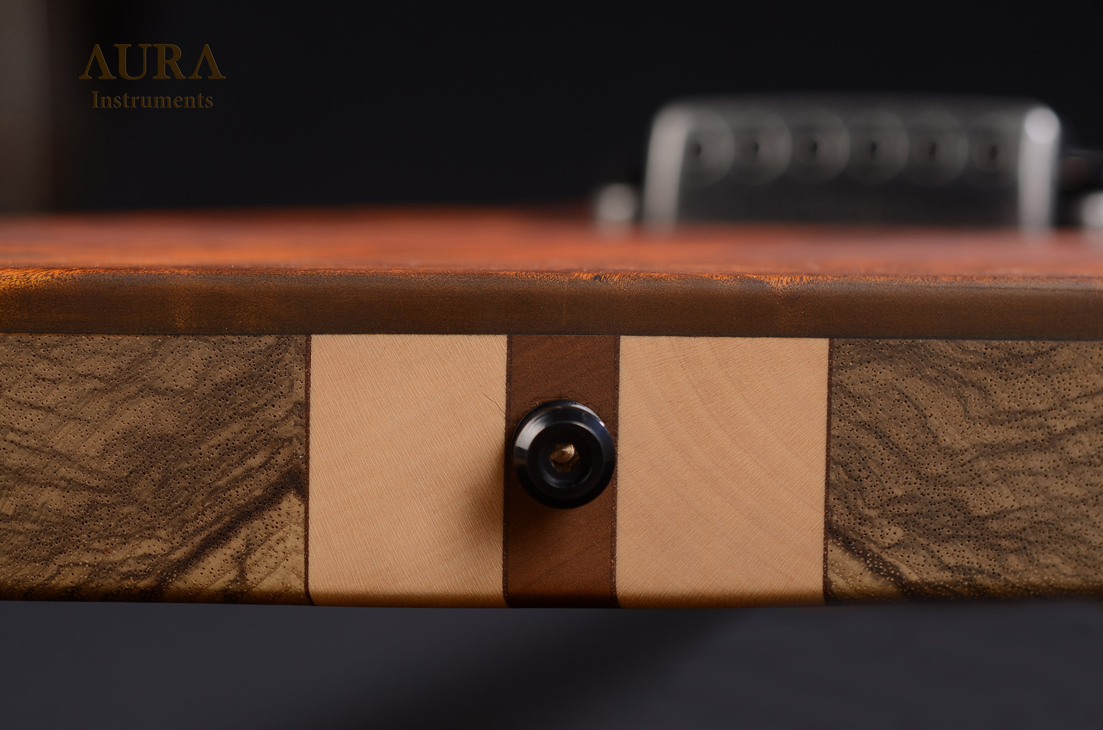 Electric guitar Aura Explorer TA detail 15