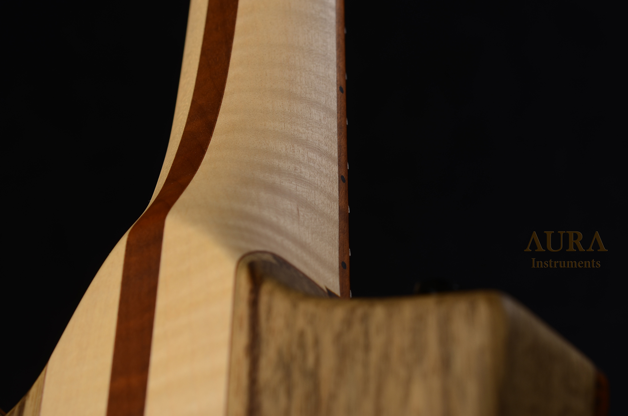 Electric guitar Aura Explorer TA detail 19